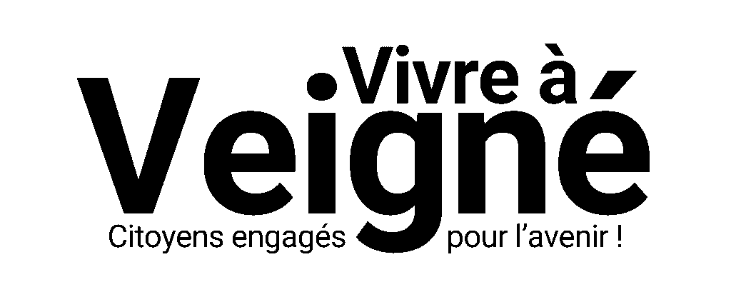 Logo vàv noir (500 x 200 px)